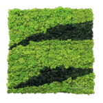 Panel na ścianę mech chrobotek mieszany NA WYMIAR