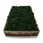 Mech Chrobotek Reniferowy Oczyszczony Dark Green 2kg FIN