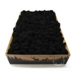 Mech Chrobotek Reniferowy Oczyszczony Black 2kg FIN