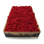 Mech Chrobotek Reniferowy Oczyszczony Red 2kg FIN