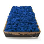 Mech Chrobotek Reniferowy Oczyszczony Blue 2kg FIN