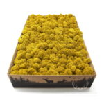 Mech Chrobotek Reniferowy Oczyszczony Yellow 2kg FIN