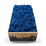 Mech Chrobotek Reniferowy Oczyszczony Blue 500g FIN