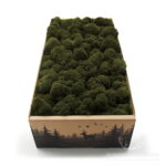 Mech Chrobotek Reniferowy Oczyszczony Khaki 500g FIN