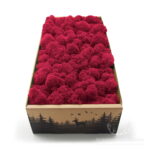 Mech Chrobotek Reniferowy Oczyszczony Raspberry 500g FIN