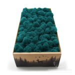 Mech Chrobotek Reniferowy Oczyszczony Marine 500g FIN