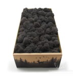 Mech Chrobotek Reniferowy Oczyszczony Gray 500g FIN