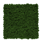 Panel ścienny z mchem chrobotkiem ciemnym NA WYMIAR