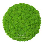 Koło z mchu na ścianę