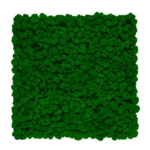 Panel ścienny z mchu fińskiego medium green 50x50cm