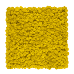 Panel ścienny z mchu fińskiego yellow 50x50cm