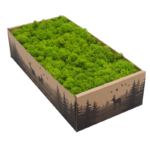 Mech Chrobotek Dekoracyjny Spring Green 2kg Gatunek 2