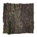 Panel ścienny dekoracyjny z kory stabilizowanej ze stuletniego dębu 50x50cm