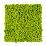 Panel ścienny z mchu 56x56cm