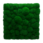 Panel na ścianę z mchu poduszkowego ciemnozielonego NA WYMIAR