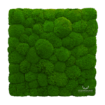 Panel na ścianę z mchu poduszkowego średniozielonego NA WYMIAR