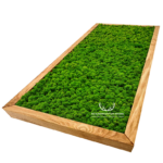 Obraz z mchu chrobotka jasnego na wymiar w ramie drewnianej