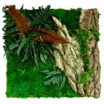 Panel ścienny z kory, mchu i roślin stabilizowanych 50x50cm