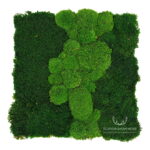 Panel na ścianę z mchu poduszkowego i płaskiego NA WYMIAR