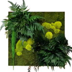 Panel na ścianę z mchu i roślin stabilizowanych NA WYMIAR