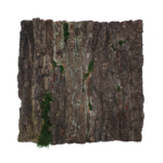 Panel z kory stabilizowanej ze 100-letniego dębu - naturalny NA WYMIAR