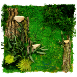 Panel na ścianę z kory mchu i roślin stabilizowanych 50x50cm