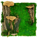 Panel dekoracyjny z kory mchu i roślin stabilizowanych 50x50cm